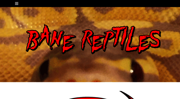 banereptiles.weebly.com