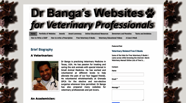 bangavet.com
