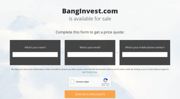 banginvest.com