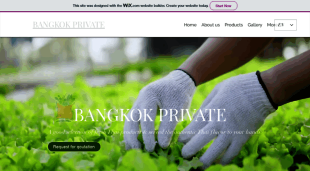 bangkokprivate.com