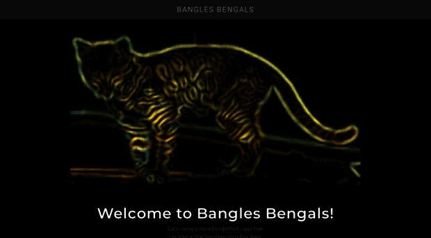 bangles.com