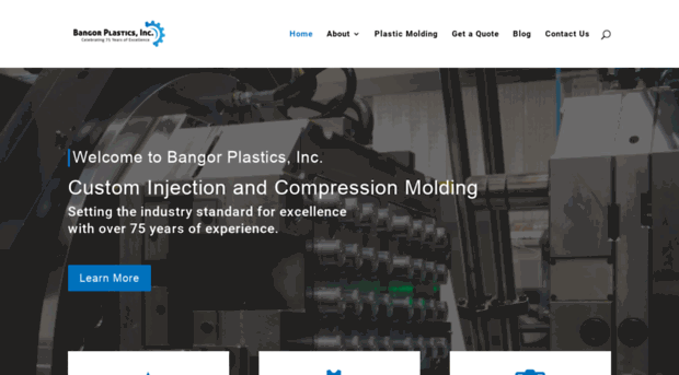 bangorplastics.com