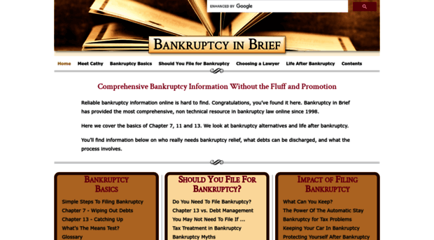 bankruptcyinbrief.com