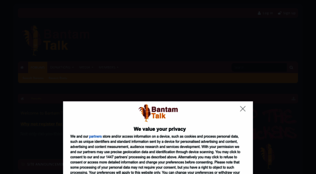 bantamtalk.com