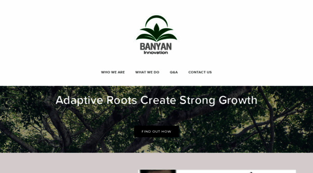 banyan-innovation.com