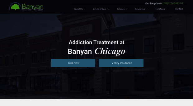 banyanchicago.com