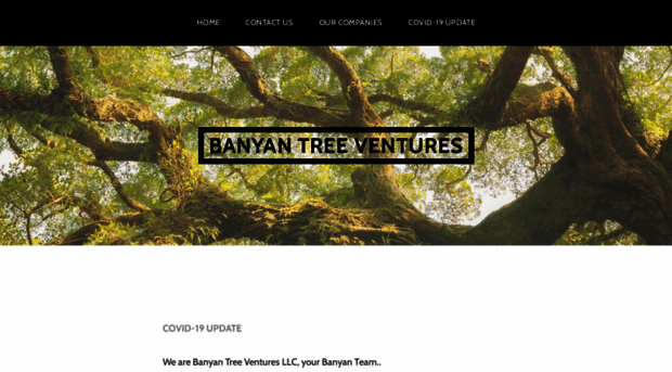 banyanteam.com