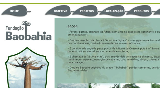 baobahia.com.br