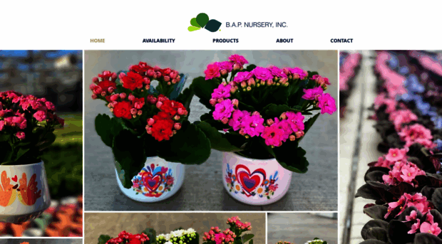 bapnursery.com