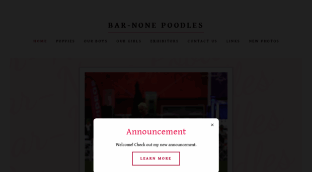 bar-nonepoodles.com