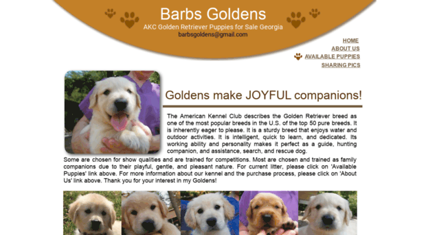 barbsgoldens.com