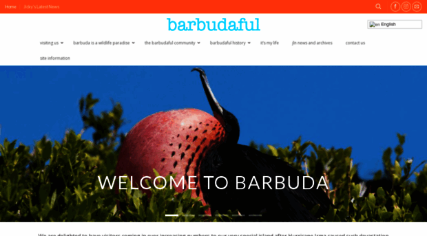 barbudaful.net