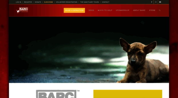 barc4balidogs.org.au