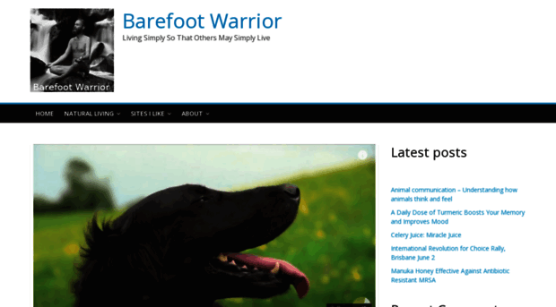 barefootwarrior.org