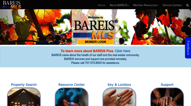 bareis.com