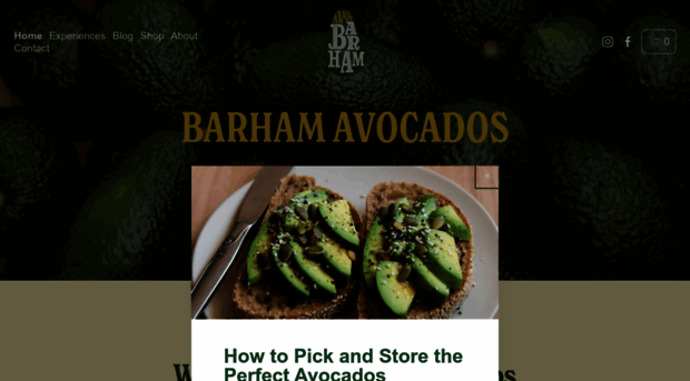 barhamavocados.com.au