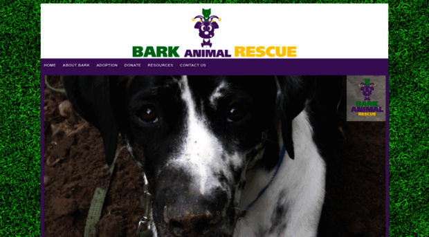 barkanimalrescue.org