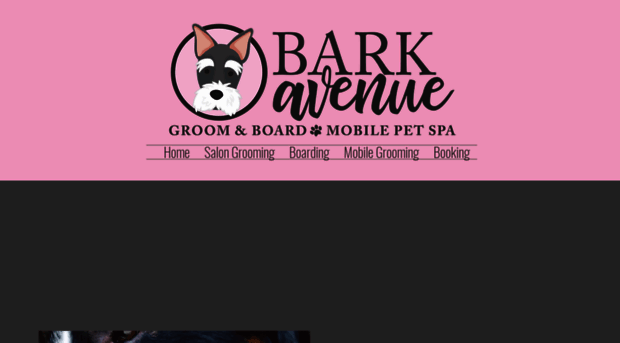 barkavegrooming.com