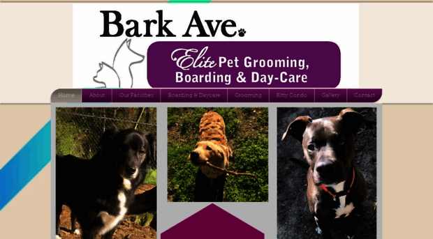 barkavenueelite.com