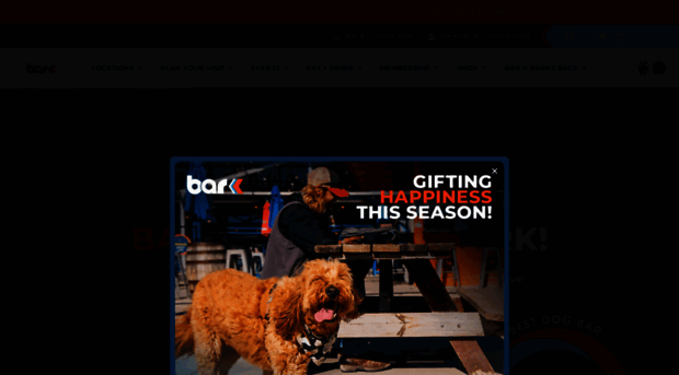 barkdogbar.com