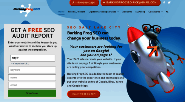 barkingfrogseo.com