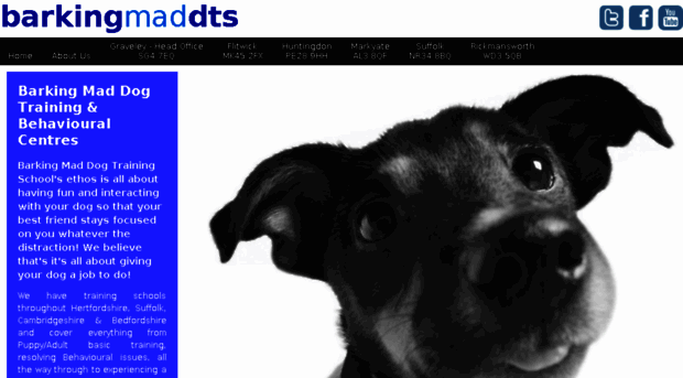 barkingmaddts.co.uk