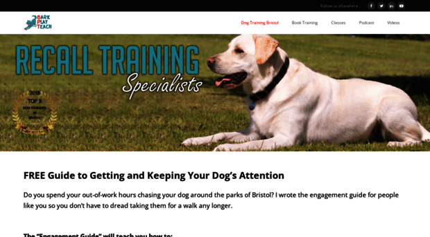 barkplayteach.com