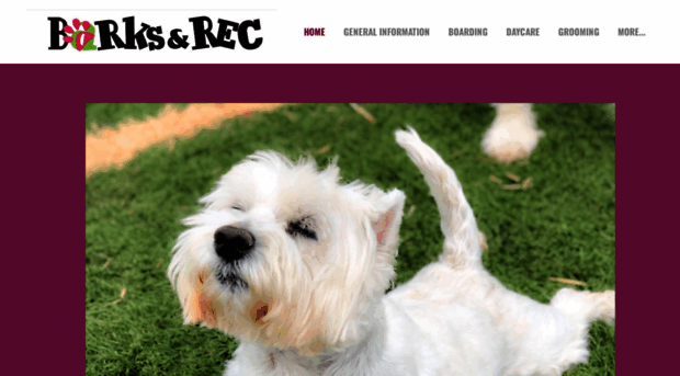 barksandrecboarding.com