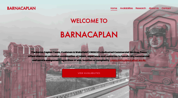 barnacaplan.com