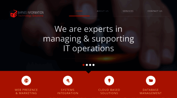 barnesinfotech.com