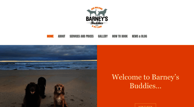 barneysbuddies.co.uk