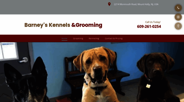 barneyskennelsandgrooming.com