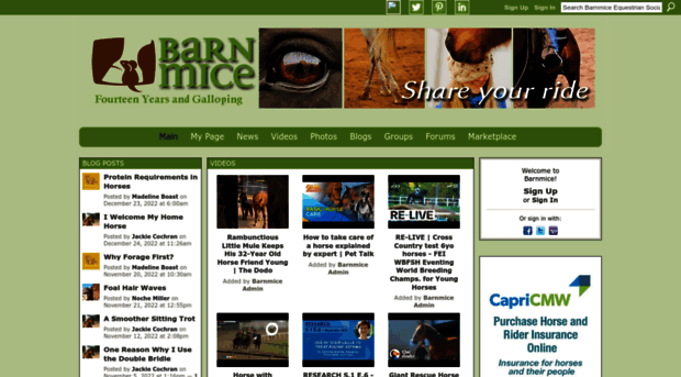 barnmice.com
