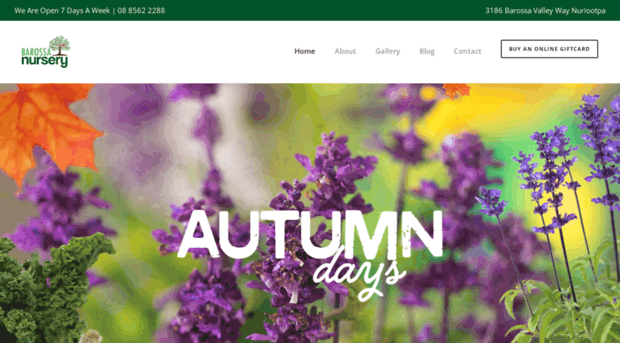 barossanursery.com.au