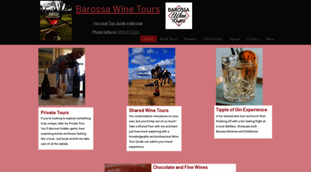 barossawinetours.biz