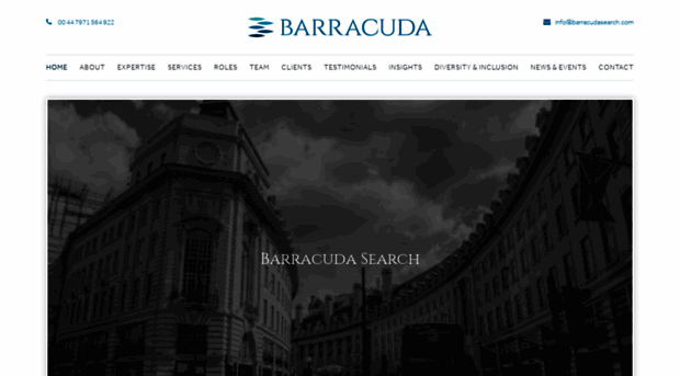barracudasearch.com