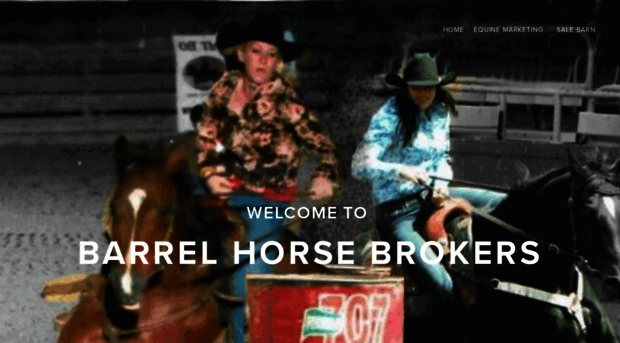 barrelhorsebrokers.com