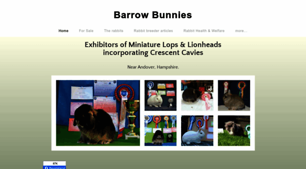 barrowbunnies.com