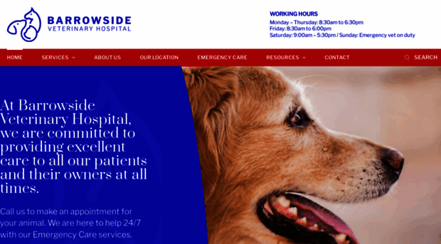 barrowsidevets.com