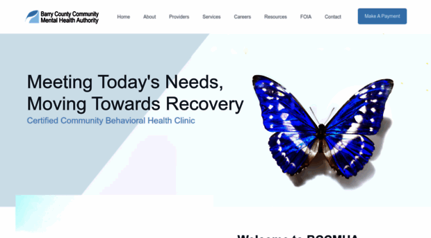 barrycountyrecovery.com