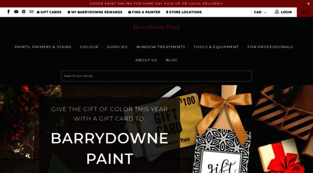 barrydownepaint.com