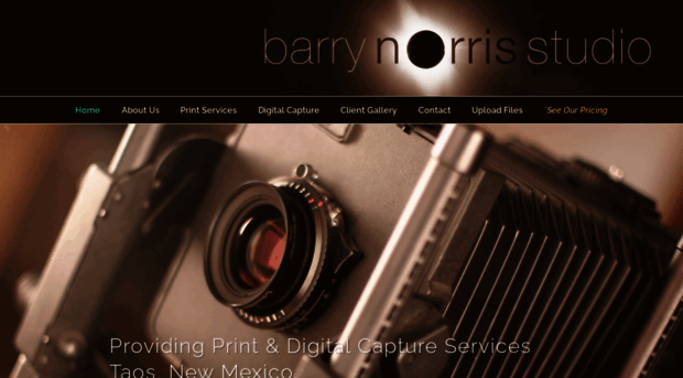 barrynorrisstudio.com