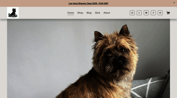 barrythebrave.com