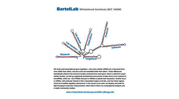 bartellab.wi.mit.edu