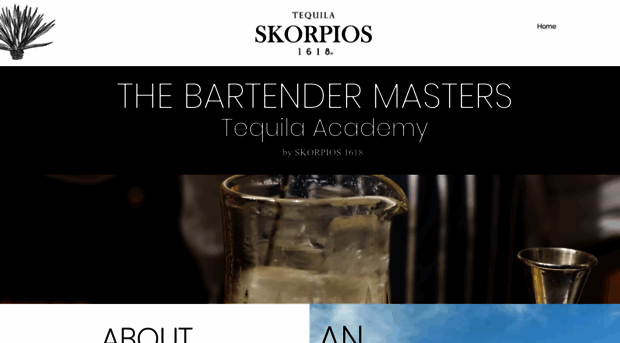 bartendermasters.com