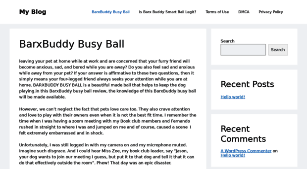 barxbuddybusyball.org