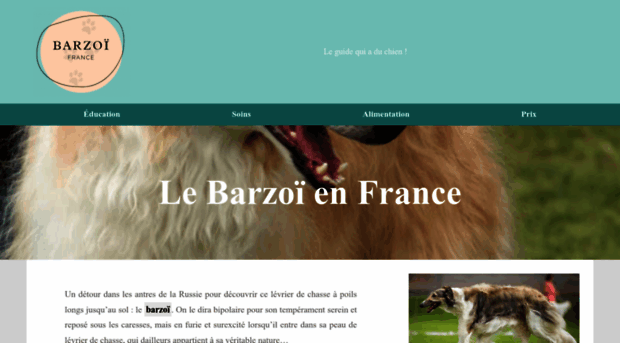 barzoi-france.com