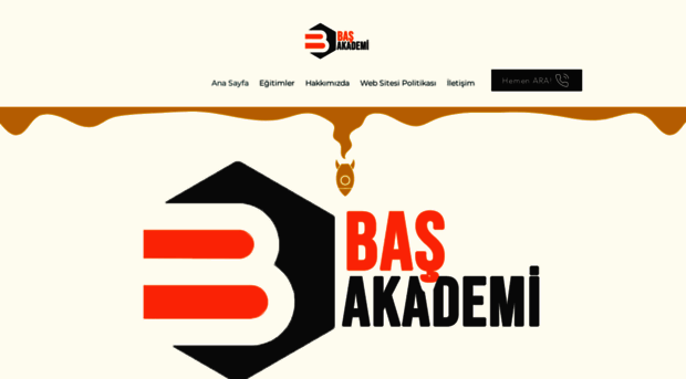 basakademi.com