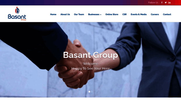 basantglobal.com