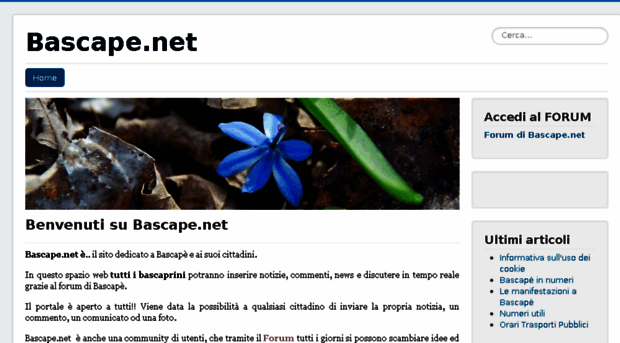 bascape.net